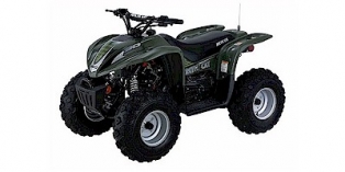 2004 Arctic Cat 90 2x4 4-Stroke