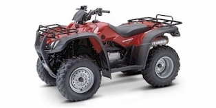 2004 Honda FourTrax Rancher™ 4X4 ES