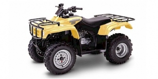 2004 Honda FourTrax Recon® ES