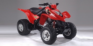 2004 KYMCO Mongoose 250