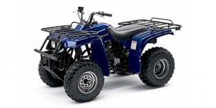 2004 Yamaha BearTracker® 