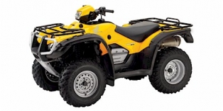 2005 Honda FourTrax Foreman® 4x4 ES