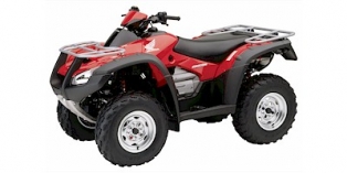 2005 Honda FourTrax Rincon™ 