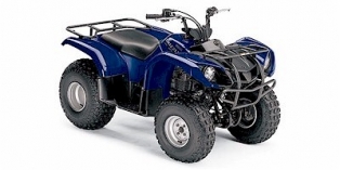 2005 Yamaha Grizzly 125