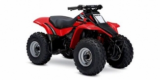 2006 Suzuki QuadSport® 80