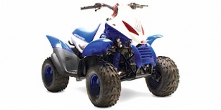 2007 United Motors Moontrax 50R