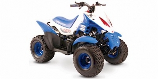 2006 United Motors Moontrax 90R