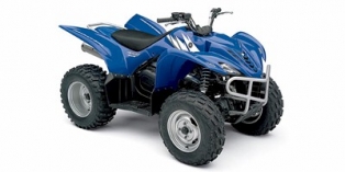 2006 Yamaha Wolverine® 450 4x4