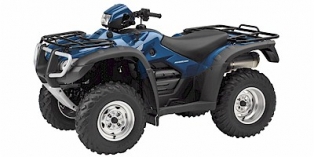 2007 Honda FourTrax Foreman® Rubicon