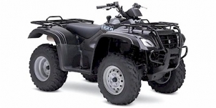 2007 Suzuki Eiger™ 400 4X4 Automatic