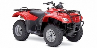 2007 Suzuki Eiger™ 400 4X4 Semi-Automatic