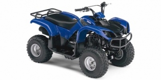 2007 Yamaha Grizzly 80