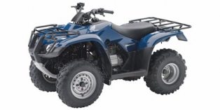 2008 Honda FourTrax Recon® ES