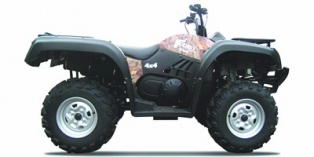 2010 QLINK Rodeo 500