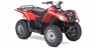 2008 Suzuki Ozark 250