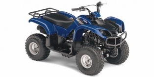 2008 Yamaha Raptor 80