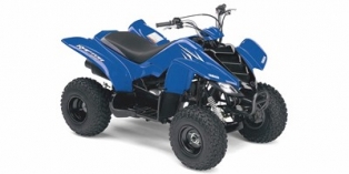 2008 Yamaha Raptor 50