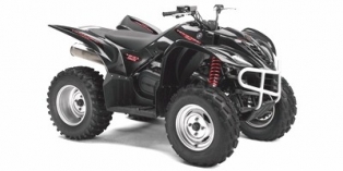 2008 Yamaha Wolverine® 450 4x4