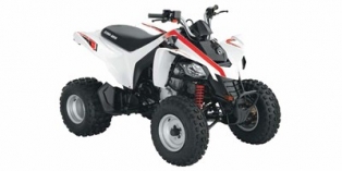 2009 Can-Am DS 250