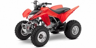 2009 Honda TRX™ 250X