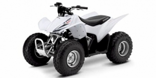 2009 Honda TRX™ 90X