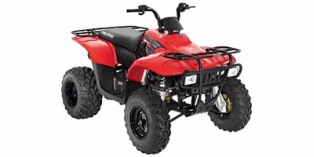 2009 Polaris Trail Boss® 330