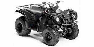 2009 Yamaha Grizzly 125 Automatic