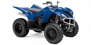 2009 Yamaha Wolverine® 350