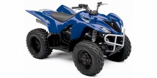 2009 Yamaha Wolverine® 450 4x4