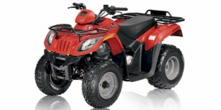 2010 Arctic Cat 150 2x4