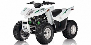 2010 Arctic Cat 90 DVX