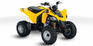 2010 Can-Am DS 250