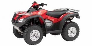 2010 Honda FourTrax Rincon™ 