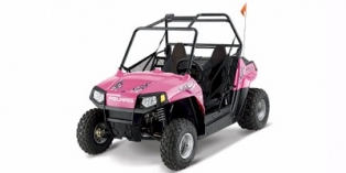 2010 Polaris Ranger® RZR® 170