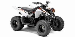 2010 Yamaha Raptor 90