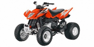 2012 Arctic Cat 300 DVX