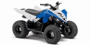 2013 Yamaha Raptor 90