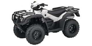 2014 Honda FourTrax Foreman® Rubicon With Power Steering