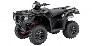 2015 Honda FourTrax Foreman® Rubicon 4x4 Automatic DCT EPS Deluxe