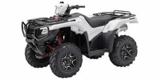 2015 Honda FourTrax Foreman® Rubicon 4x4 EPS Deluxe