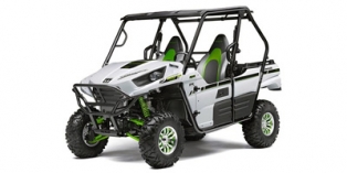 2015 Kawasaki Teryx® LE