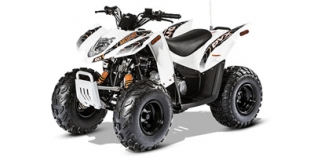 2016 Arctic Cat 90 DVX