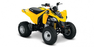 2019 Can-Am DS 250