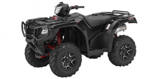 2016 Honda FourTrax Foreman® Rubicon 4x4 EPS Deluxe