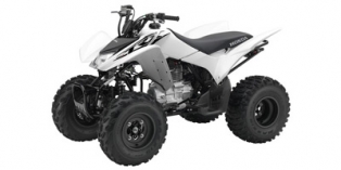 2016 Honda TRX® 250X