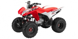 2017 Honda TRX® 250X SE