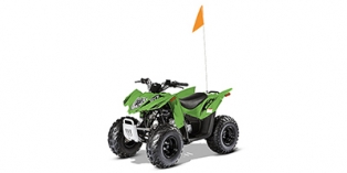 2017 Arctic Cat 90 DVX