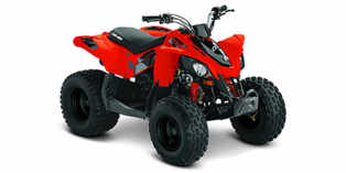 2019 Can-Am DS 90