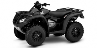 2017 Honda FourTrax Rincon® 