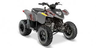 2017 Polaris Phoenix™ 200